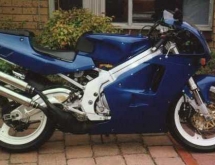 Blue_RGV