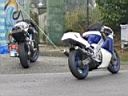 TN_LR_IMG_0464