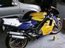 TN_post-6-1063085614