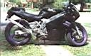 TN_suz-rgv250-89-bikepics-07629