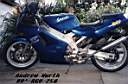 TN_suz-rgv250-89-bikepics-07630