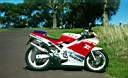 TN_suz-rgv250-90-bikepics-10310