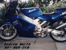 suz-rgv250-89-bikepics-07630
